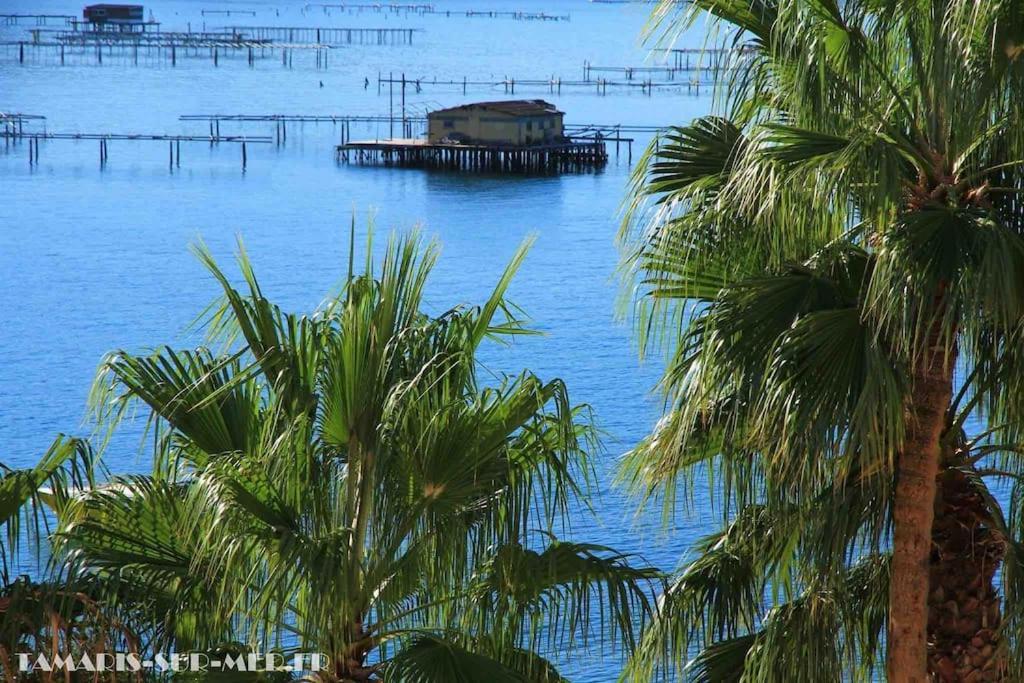 Apartament Le Dyonisos Et Piscine La Seyne-sur-Mer Zewnętrze zdjęcie